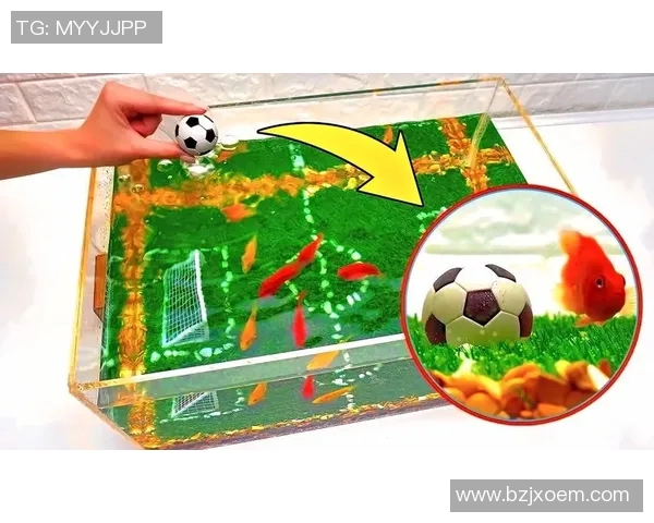 足球明星与猪的奇妙关系探秘揭秘他们背后的趣味生活与趣事