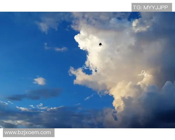 飞翔的足球明星在游戏世界中展翅高飞的奇幻冒险之旅